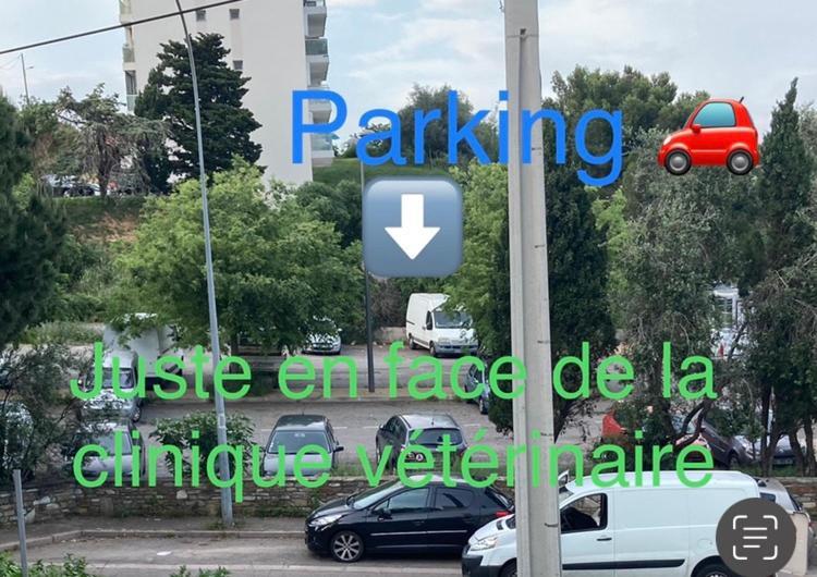 Location Chambre Avec Salle De Bain Et Partie Commune Sea View & Mountain View Renting 1 Of 3 Bedrooms With Shared Common Space 3 Bdrm Apt Not 1 Bdrm Plus Clime Ou Ac Бастия Екстериор снимка